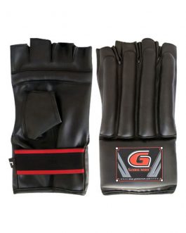 Punching Mitts (02-GM-102)