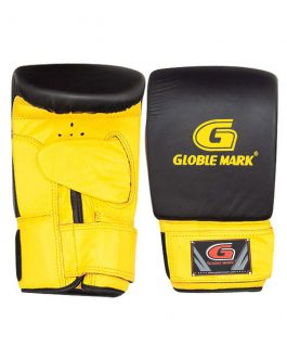 Punching Mitts (02-GM-105)