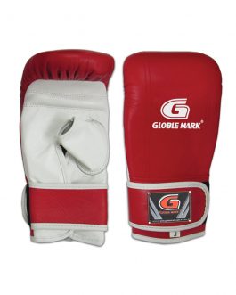 Punching Mitts (02-GM-109)