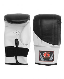 Punching Mitts (02-GM-113)